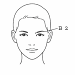 Pressure Points for Allergies B2 Pressure Point Diagram