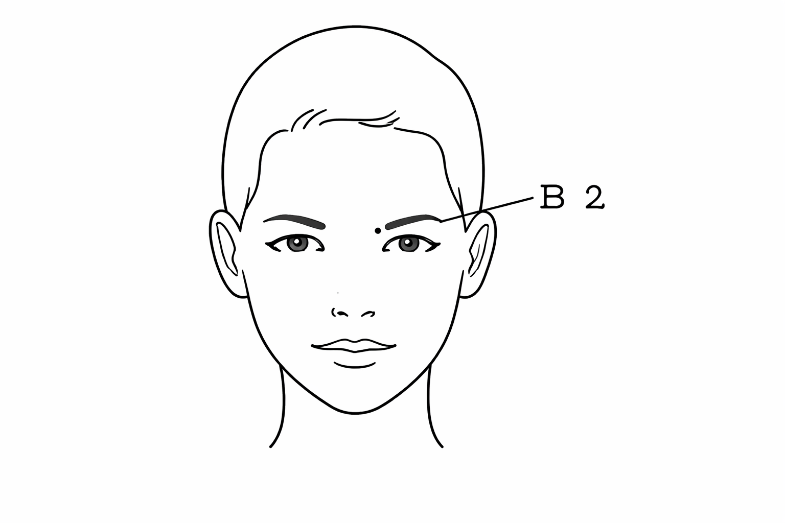 B2 Pressure Point Diagram
